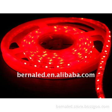 LED at lobortis